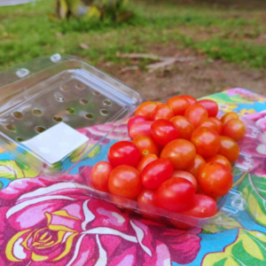 Tomate Cereja (380g)